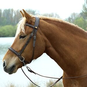 Barefoot Gebisslose Zäumung für Pferde - Bittless Bridle und Sidepull in einem - Weich gepolstert mit breitem Nasen-, Stirn- und Genickstück - ideal für Western, Englisch und Wanderreiten
