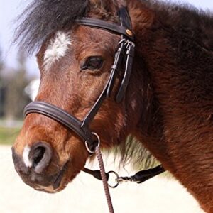 Barefoot Gebisslose Zäumung für Pferde, weich gepolstert mit breitem Nasen-, Stirn- und Genickstück, ideal für Western-, Englisch- und Wanderreiten