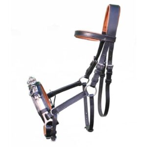 Hochwertiger Lederkappzaum für Pferde mit Naseneisen und professionellen Verschnallmöglichkeiten, ideal für Longieren und Reiten.