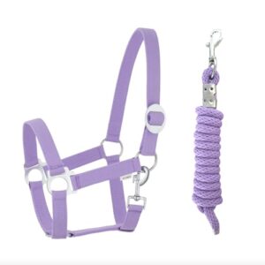 Halfter Führstrick Set mit Karabinerhaken verstellbar, Pferdehalfter, Pferd, Holzpferd Anbindestrick, hochwertiges Produkt für Pferdefreunde