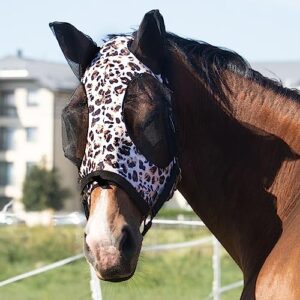 Pferd mit Leopard-Druck-Fly-Maske für UV-Schutz und Komfort