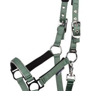 Verstellbares Halfter für Fohlene mit Neoprenpolsterung an Genick und Nase, Grün