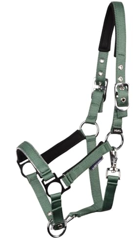 Verstellbares Halfter für Fohlene mit Neoprenpolsterung an Genick und Nase, Grün