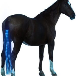 Reit-Harnschmuck mit LED-Beleuchtung für Pferde, sicher und bequem zu führen, wasserdicht und leichtgewichtig