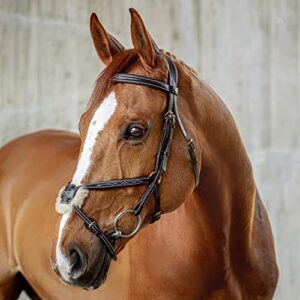 Mexikanische Trense für Pferde aus weichem Echtleder mit extra Polsterung und anatomischer Formgebung