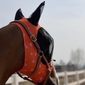 Pferdefliegenmaske mit besonderem Design für das Pferd, um Insektenstiche vorzubeugen und ein sicheren Abstand zu den empfindlichen Augen des Pferdes zu halten.