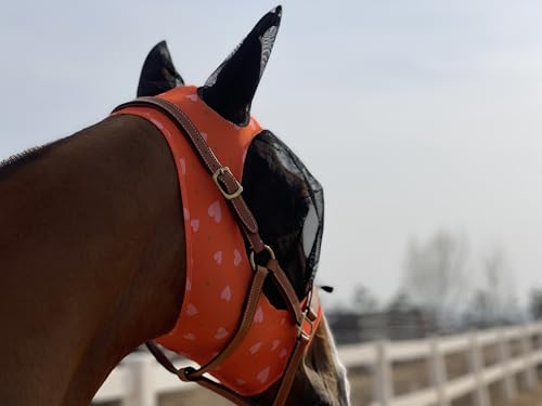 Pferdefliegenmaske mit besonderem Design für das Pferd, um Insektenstiche vorzubeugen und ein sicheren Abstand zu den empfindlichen Augen des Pferdes zu halten.