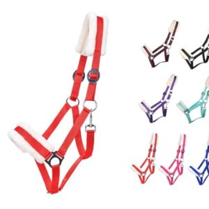 Solides Pferdehalfter, gepolstert und verstellbar für Mini Shetty bis Full und Kaltblut, Rot