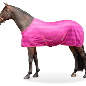 Pferde-Freiheitsdecke mit effektivem Schutz vor Fliegen und Insekten, 125 cm lang, raspberry Farbe