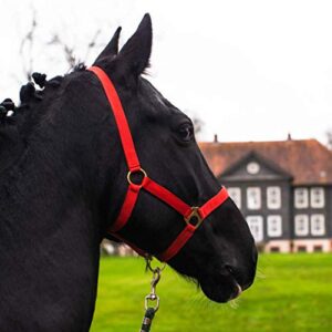 Pferdelinis Halter für Pferde, Warmblut, Vollblut, Kaltblut - Rotes Stallhalfter, Weidehalfter, 2-fach verstellbar an Kinnriemen und Genickstück, sicher & reißfest