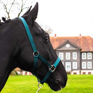 Pferdelinis Halter für Warmblut, Vollblut und Kaltblut - Stallhalter und Weidehalter mit 2-Fach verstellbaren Dornschnallen, sicher und reißfest (Grün, Warmblut)