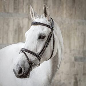 SUNRIDE Englisch kombinierte Trense für Pferde (London) - mit Zügeln - weiches Echtleder - extra Polsterung - anatomisch, verstellbar - handgefertigt - mit Ziernähten - rostfrei - braun