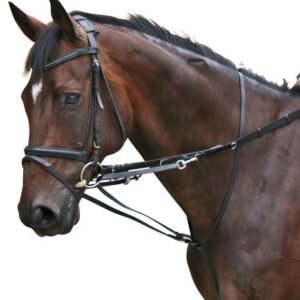 Thiedemann-Kombination, schwarz Full - Pferdebekleidung mit bester Qualität und passender Passform