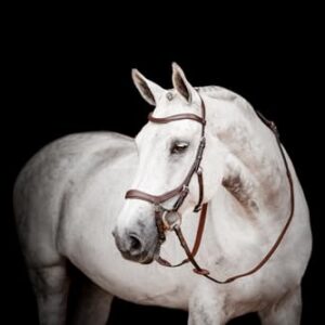 Hochwertige Wettbewerbsbrille von Horseware HW Micklem2, dunkle Havannafarbe, ideal für Pferde mit X-Warmblut-Rasse