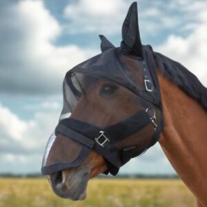 Braunes Pferd mit schwarzer Fliegenmaske, die UV-Schutz bietet, atmungsaktiv und abnehmbarer Nasenschutz hat. Ideal für sonnige Tage in der Weide.