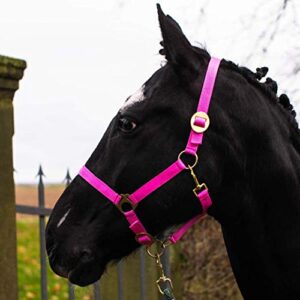 Pferd mit pinkem Halter, Pferdelinis Halfter für Pferde, Warmblut, Vollblut und Kaltblut, Weide oder Stall geeignet, sicher & reißfest