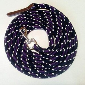 Pferdeseil Bodenleine Arbeitsseil schwarz, naturfarbenes Seil mit Karabiner und Lederklatsche, ideal für Pferdehalter und -besitzer