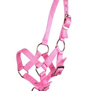 QHP Fohlenhalfter: Verstellbares Halter für Fohle - Nylon, 4 Größen, 6 Farben