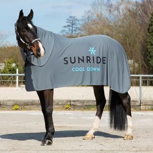 SUNRIDE Kühldecke für Pferde - Cool Down 3-teilig mit Halsteil und Tuch - sofortiger Kühleffekt durch Verdunstungskälte - nachhaltig - einfache Anwendung - grau