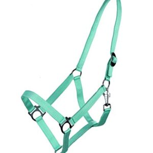 Robustes Stallhalfter aus Nylon für Pferde - Schiebeschnalle und Karabinerhaken - sicher und bequem führen