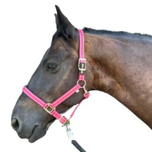 Pferdehalter mit glitzernden Akzenten in Rosegold, anatomisch geformt und zweiachse verstellbar für optimalem Komfort beim Reiten