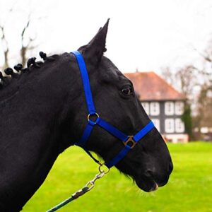 Pferdelinis Halfter für Pferde - Sicherheit und Komfort, Royal-Blau, Warmblut (Full)