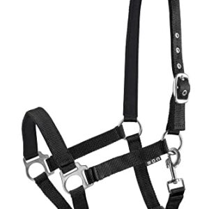 Start Economic Pferdehalfter - Verstellbares Nylon Halfter mit Nubuk-Polsterung und Karabinerhaken, ideal für Pferde im Stall oder auf der Weide.