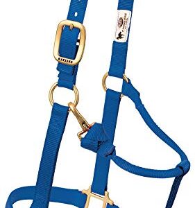 Weaver Leather Original Verstellbares Pferdehalfter aus Nylon, blau, für eine sichere und bequeme Reitfahrt