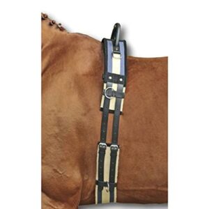 Pferdelongiergurt mit Haltegriff aus strapazierfähigem Canvas-Material und Leder für Pferdefußreiten, Longieren und Reitsport