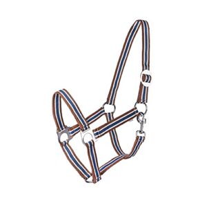 Verstellbares Halfter für Pferd, Stallhalfter Pony, Vollblut, Warmblut (Braun/Weiß/Petrolblau, COB) - Hochwertiges Nylon-Gurtband mit weicher Polsterung und ergonomischem Design