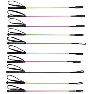 Netzwerk Reitgerte Springstock mit Gummigriff und Handgelenkschlaufe, Farbe: Pink - hochwertiges Basismodell von NETPROSHOP für Anfänger und erfahrene Reiter