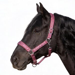 Glitzerhalfter für Pferde, gepolstert und verstellbar, ideal für Pferde aller Rassen wie Shetty, Pony, Cob oder Warmblut