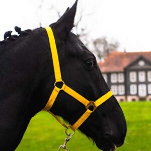 Halfter für Pferd - Sicherheit und Komfort: Gelbfarbenes Halfter für Warmblüter, Vollblüter und Kaltblüter mit 2-fach verstellbarer Passform an Kinnriemen und Genickstück