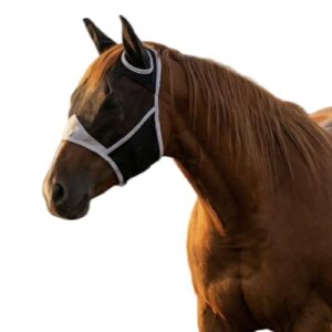 Fliegenmaske für Pferde, One Piece Fliegenhaube mit Fliegenohren, Schwarzer Fliegenschutz für Pony, Cob, Warmblut & Shetty