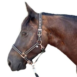 Halfter für Pferde mit Glitzer in Rosegold, Halfter Pferd in Schwarz und Pink, 2-Fach verstellbar