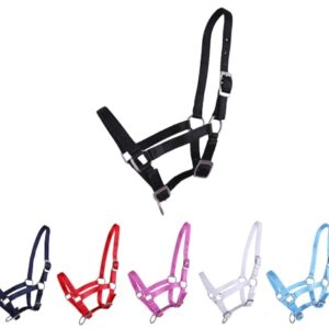 Halter für Fohlen, Full-Große, Halfter für Fohlen, 3-Fach verstellbarer Halter für Falabella Shetty Pony Fohlen, Hochwertiges Nylon-Halter mit robustem Ring und Edelstahl-Verschnallungen