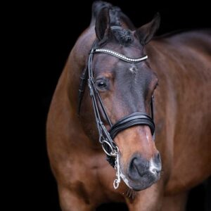 Hochwertiger Dressur-Kandare für anspruchsvolle Reiterinnen mit edlem Stirnband und Strasssteinen, optimal für Pferde mit muskulöser Haltung und hochem Haupt, ideal für Reit-Sportarten wie Dressur und Voltigerei