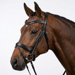 Pferdelinis Geschwungener Stirnriemen mit funkelnden Kristallen in Silberoptik für Pferde - ideal für Training und Turnier, schwarze Farbe, Warmblut (Full)