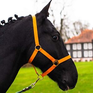 Pferdelinis Halfter für Pferde - Halter mit Sicherheitsfunktion und Reißfestigkeit, geeignet für Warmblüter, Vollblüter und Kaltblüter