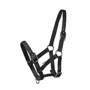 Start Reithalfter für Fohlen, 3-Fach verstellbarer Fohlenhalter mit robuster Konstruktion aus Gurtband und idealer Verstellbarkeit für das Training und Reiten von Pferden.