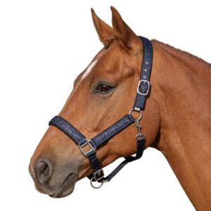 Gepolstertes Halfter mit verstellbaren Dornschnallen und glänzender Navyblau-Optik für Pferde