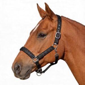 Pferdelinis Halfter für Pferde, Glitzerhalfter mit gepolsterter Dornzäumung und verstellbaren Schnallen, geeignet für Pony, Cob und Warmblut (Schwarz, Shetty)