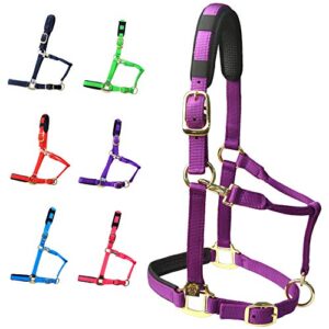 Verstellbares Pferdehalfter aus strapazierfähigem Nylon mit Waffel-Neopren-Polstern für Haltung und Reitunterricht